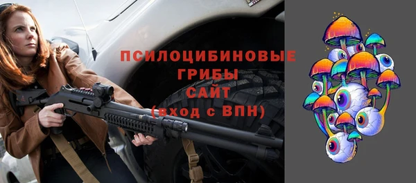 apvp Алексин