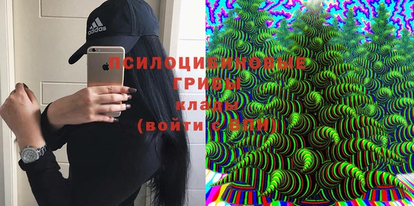 прущий лед Алексеевка