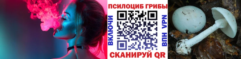 Галлюциногенные грибы мухоморы  купить наркоту  это клад  Боровск 